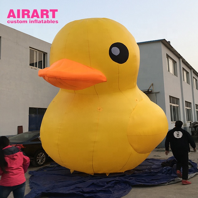 inflatable duck (5)
