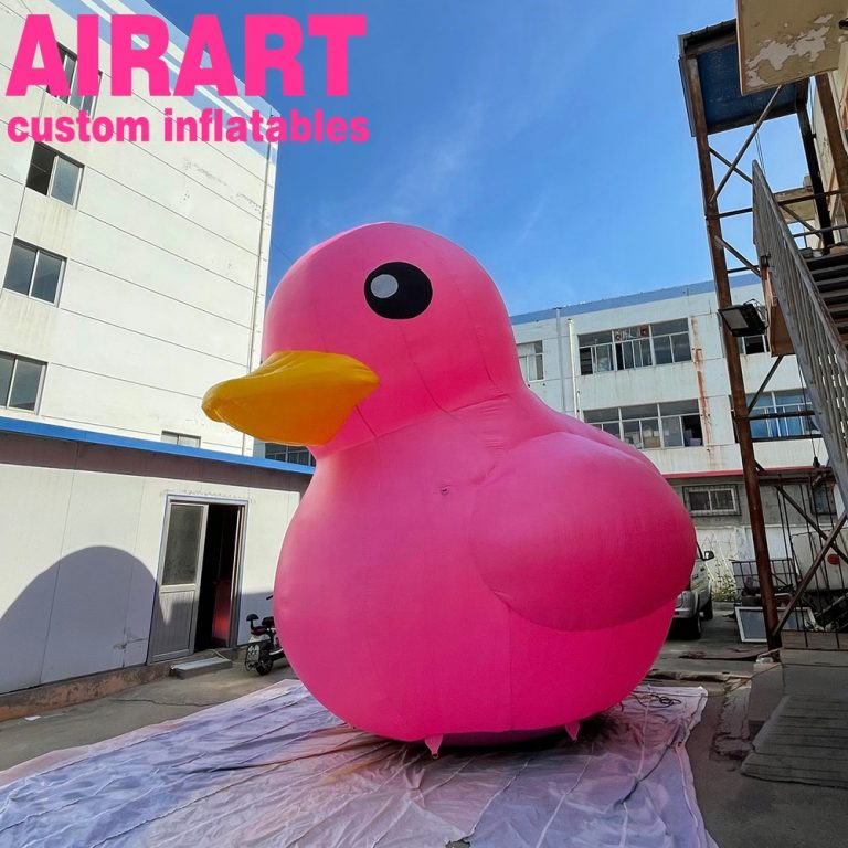 inflatable duck (6)