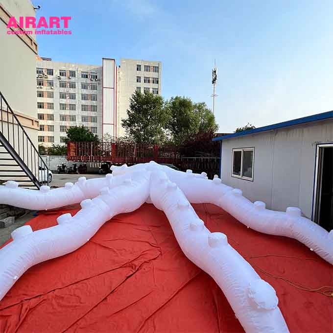 inflatable octopus (9)