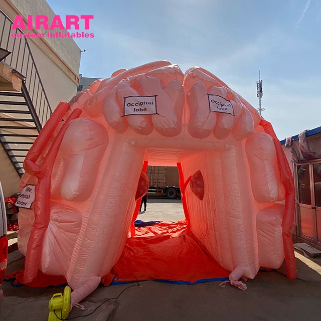 inflatable brain (1)