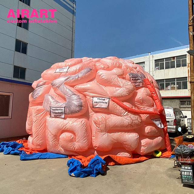 inflatable brain (2)