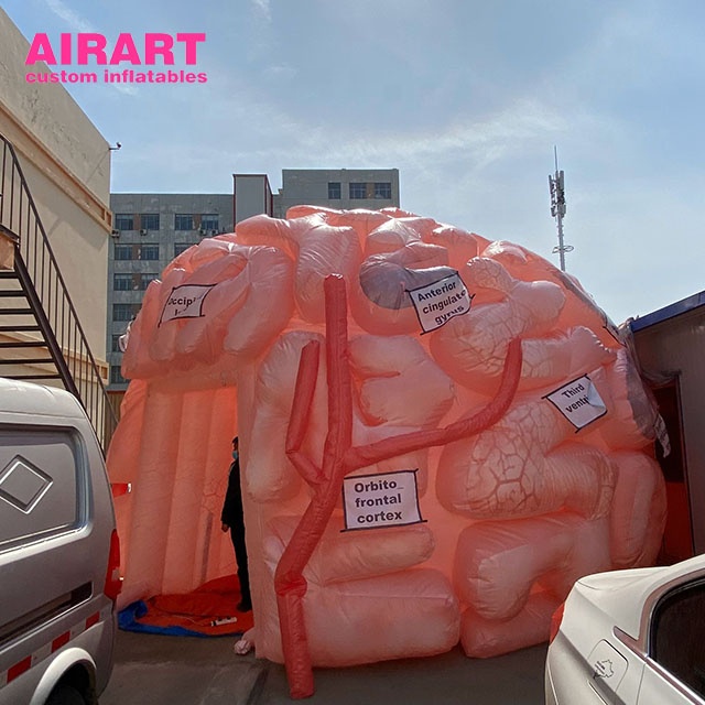 3m inflatable brain copy model for publicizing