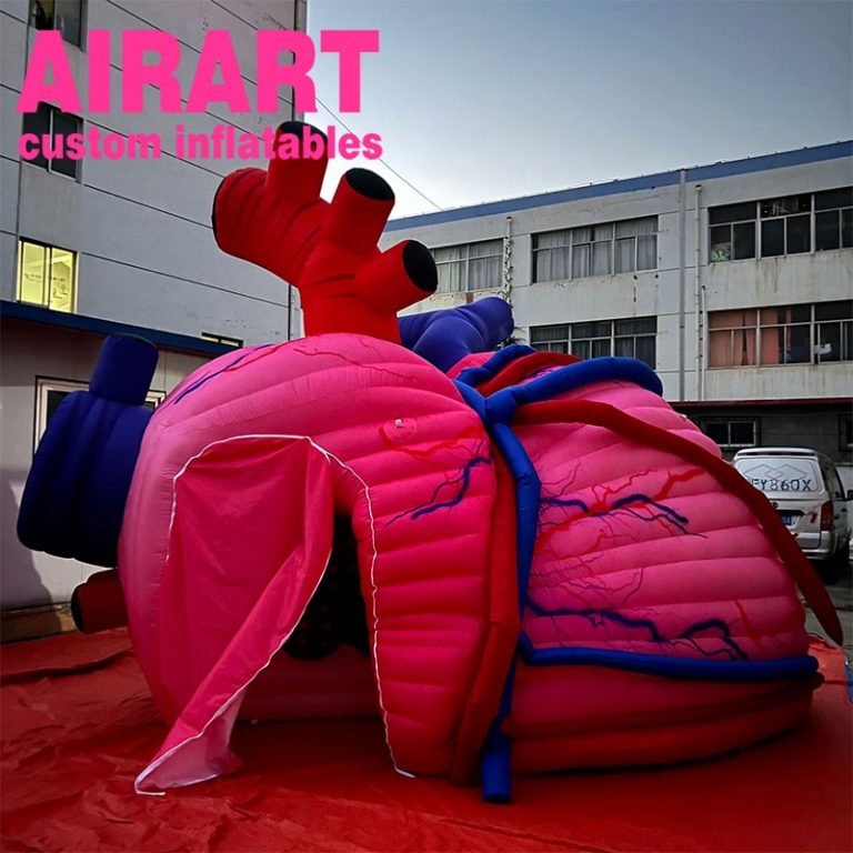 inflatable heart and brain (2)