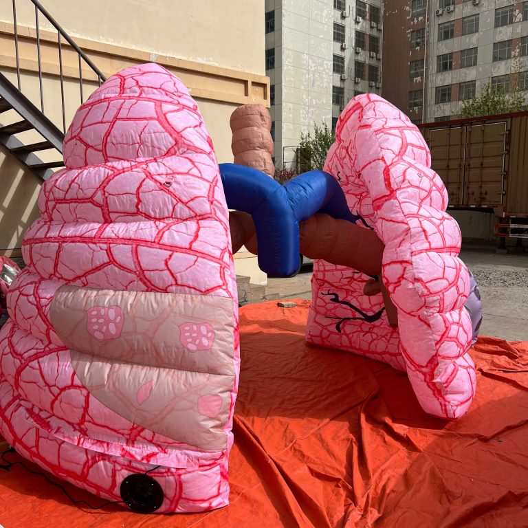 exhibition decorated inflatable lungs for medical education