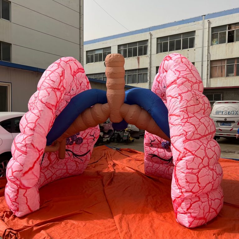 simulated inflatable lung model for event