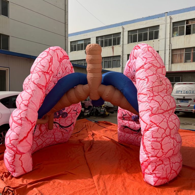 inflatable lungs (2)