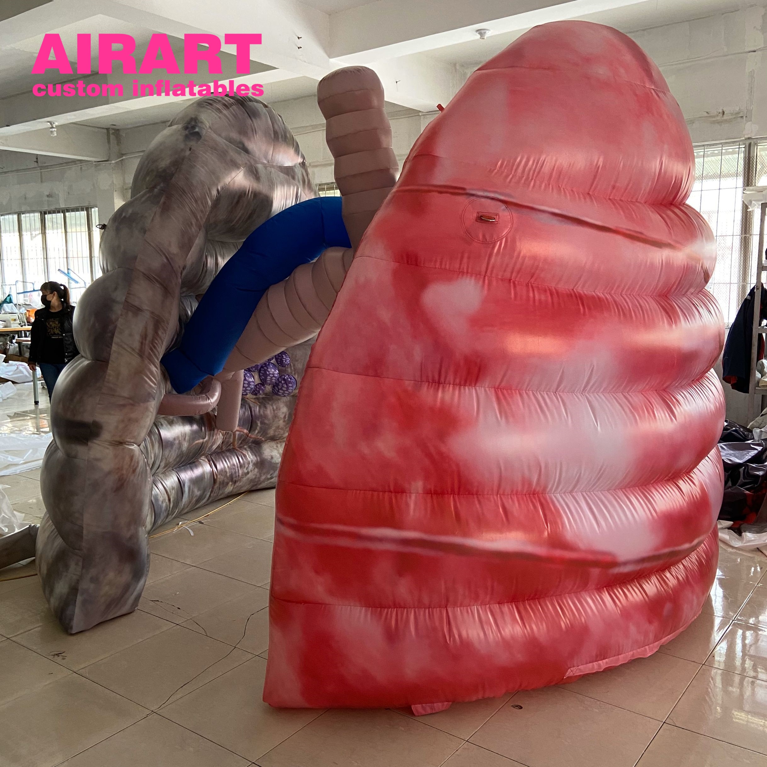 Inflatable Lung Display replicas inflatable lung for event exhibition - Aiyate
