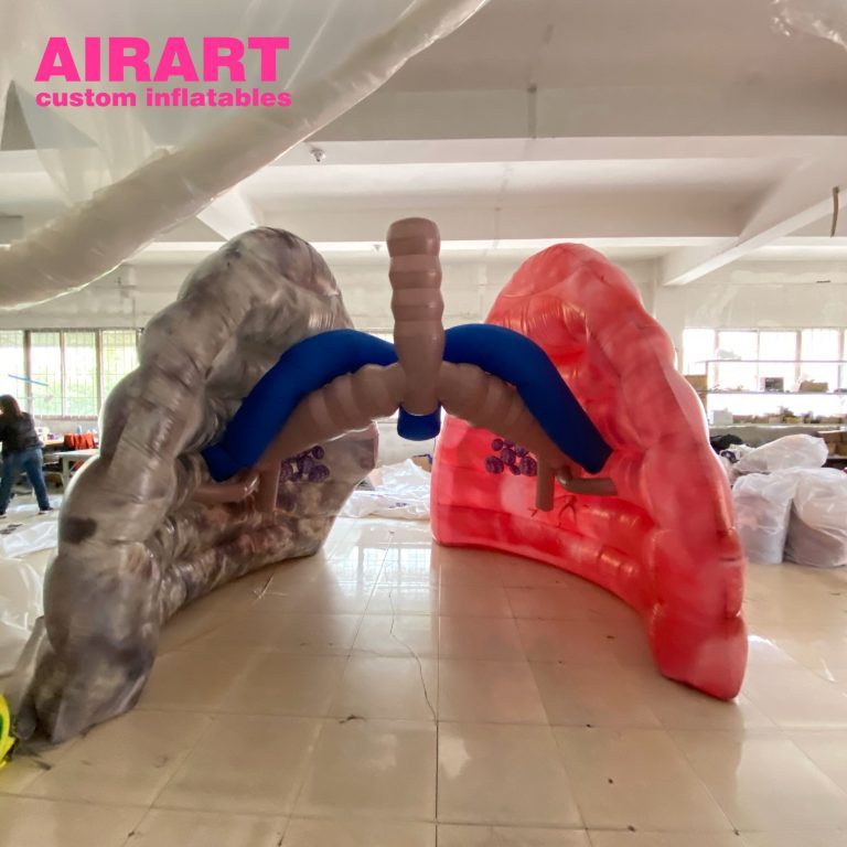 inflatable lungs (3)