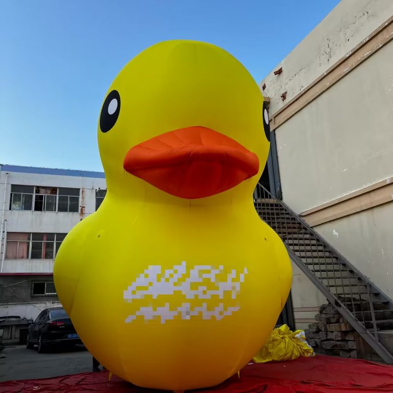 inflatable duck (4)