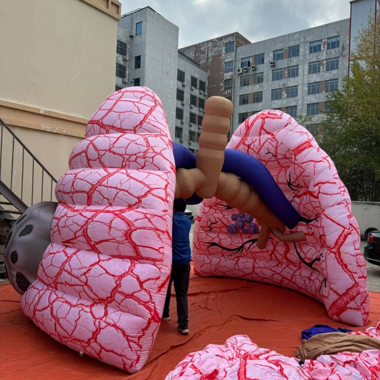 inflatable lungs (2)