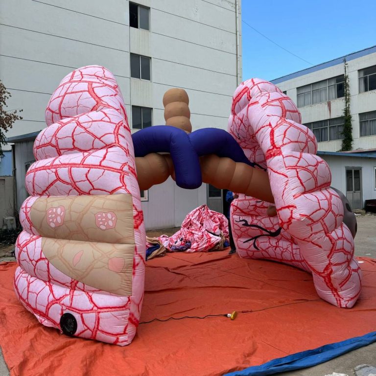 inflatable lungs (3)