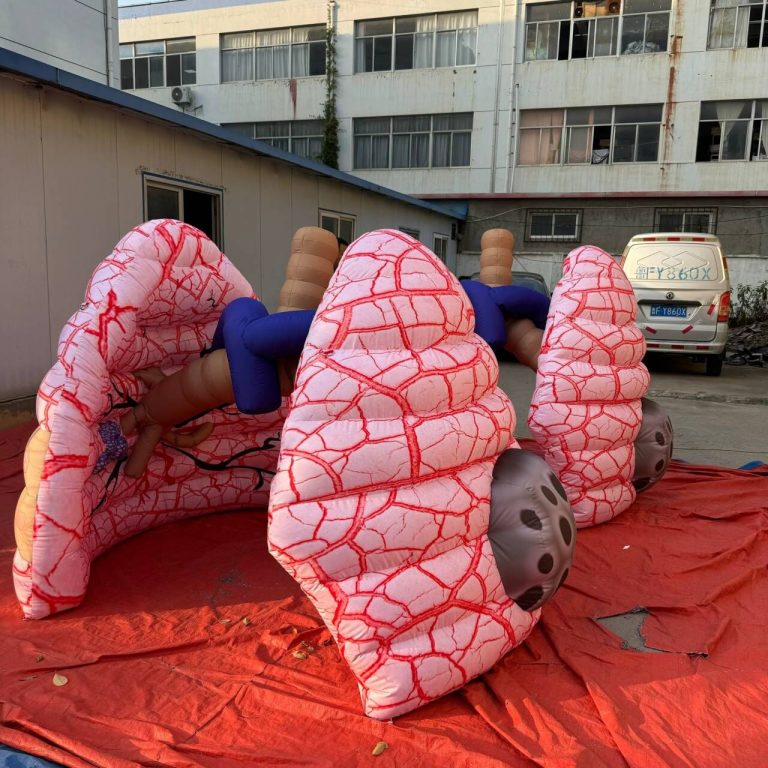 inflatable lungs (4)