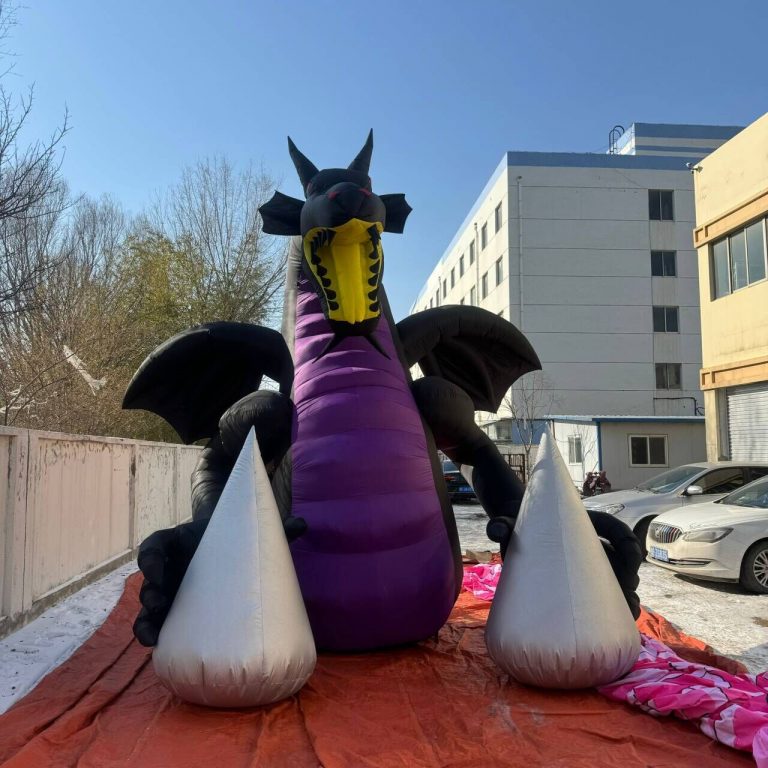 inflatable black dragon (1)