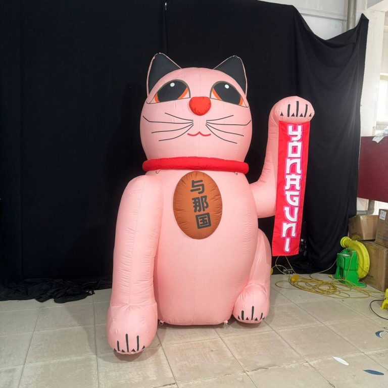 inflatable cat (1)