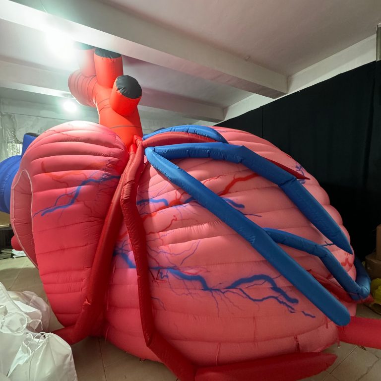 inflatable heart (1)