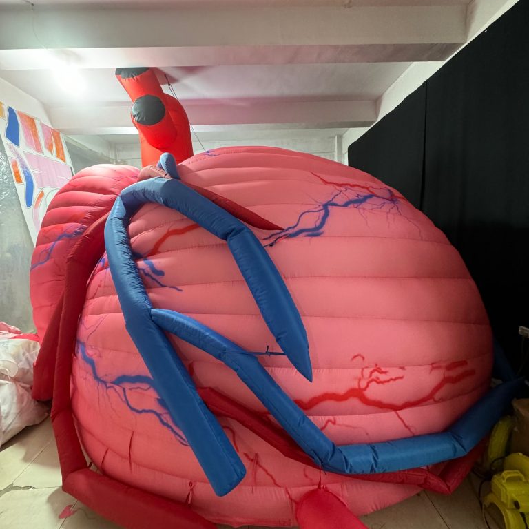 inflatable heart (2)