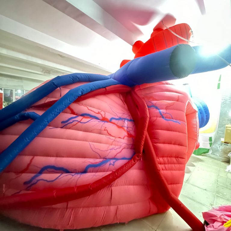 inflatable heart (3)