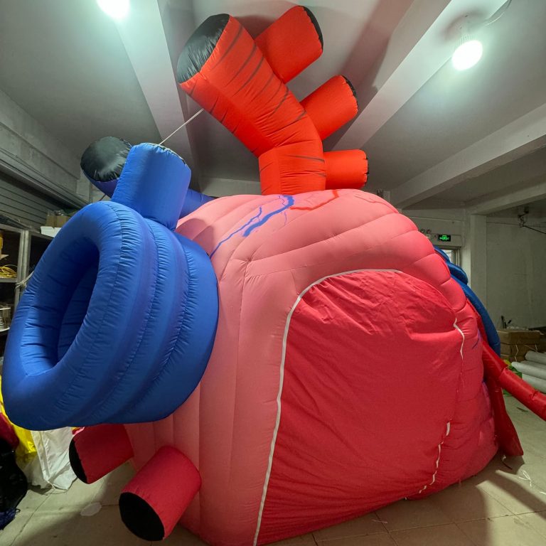 inflatable heart (4)