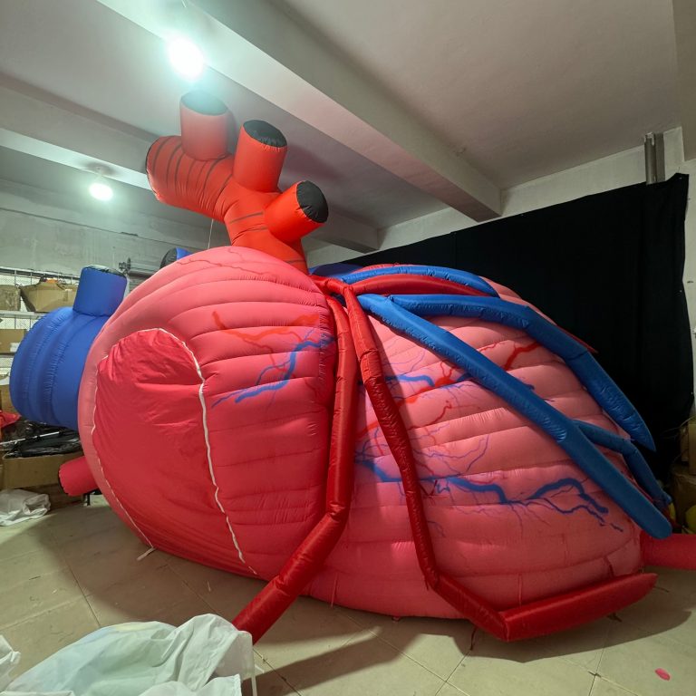 inflatable heart inflatable education organ model