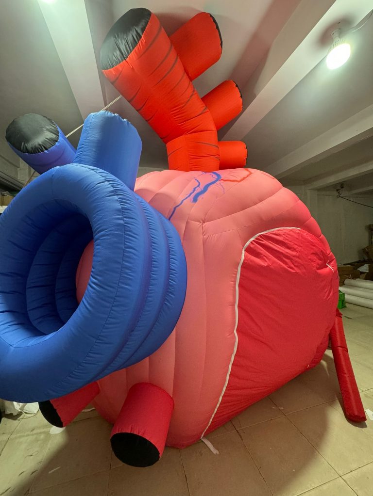 inflatable heart (6)