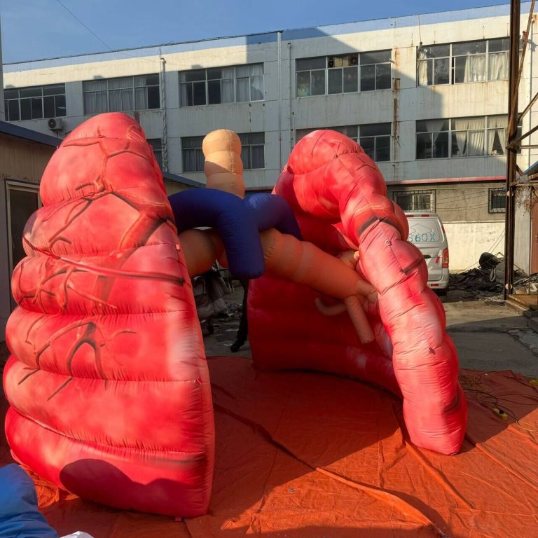 3m custom inflatable lungs simulation model