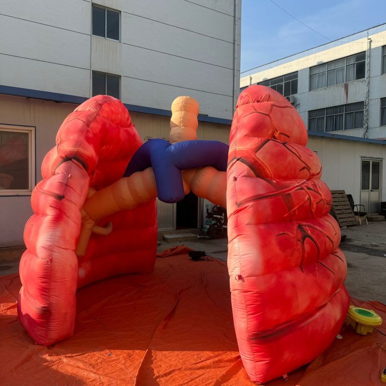 inflatable lungs (2)