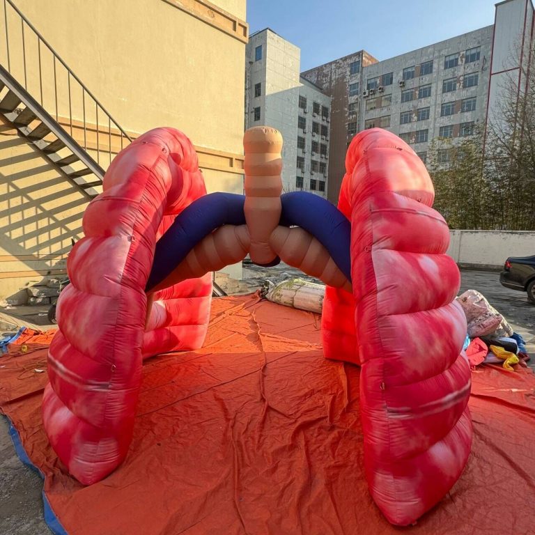 inflatable lungs (3)