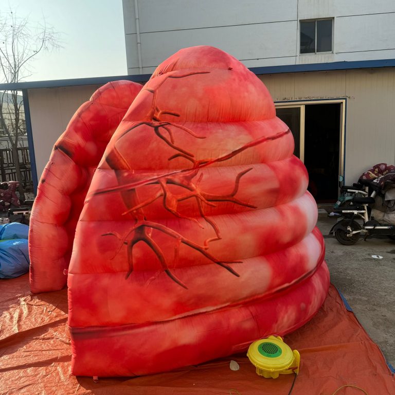 inflatable lungs (4)