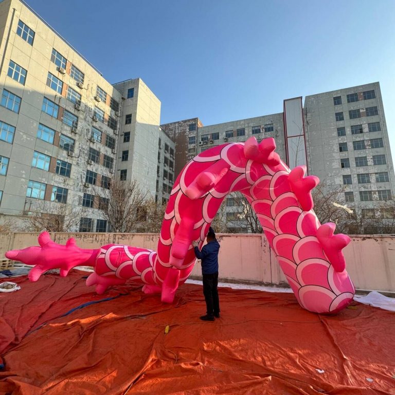 inflatable pink dragon (2)