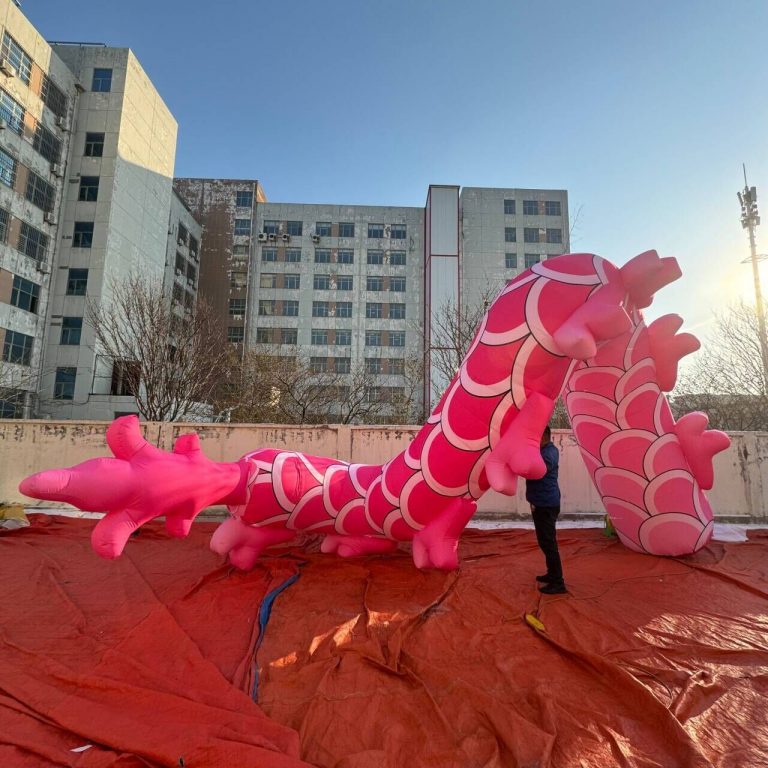 inflatable pink dragon (3)