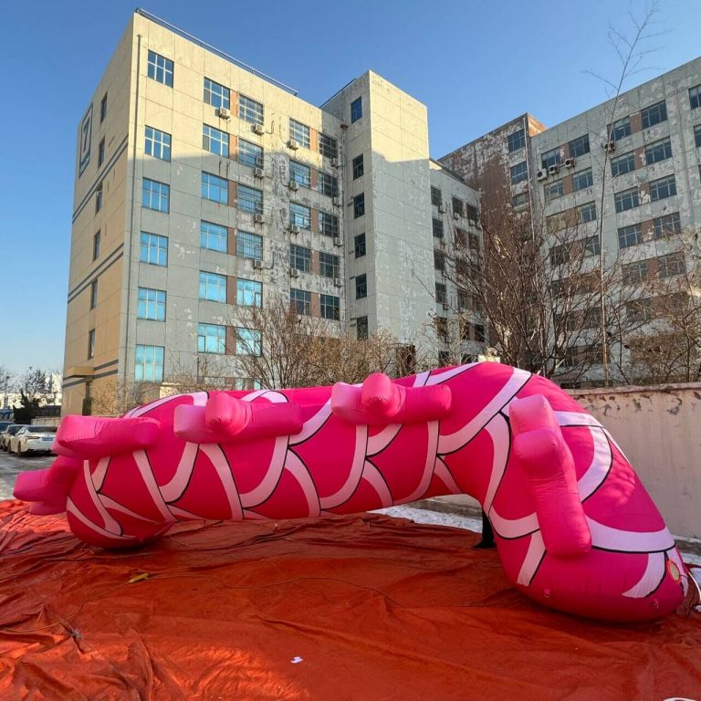 inflatable pink dragon (5)