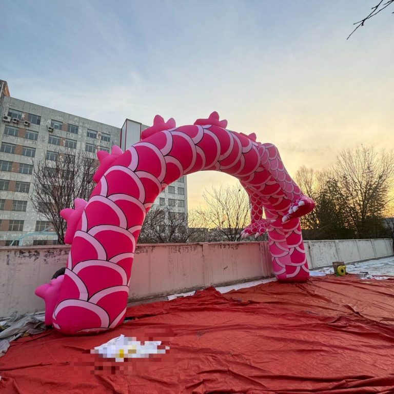 inflatable pink dragon (6)