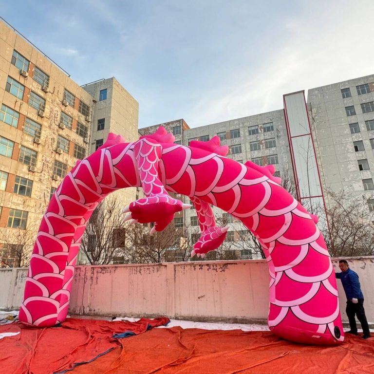 inflatable pink dragon (7)