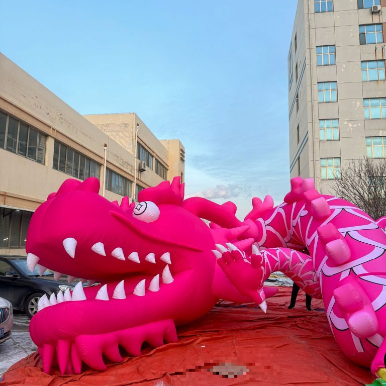 inflatable pink dragon (8)