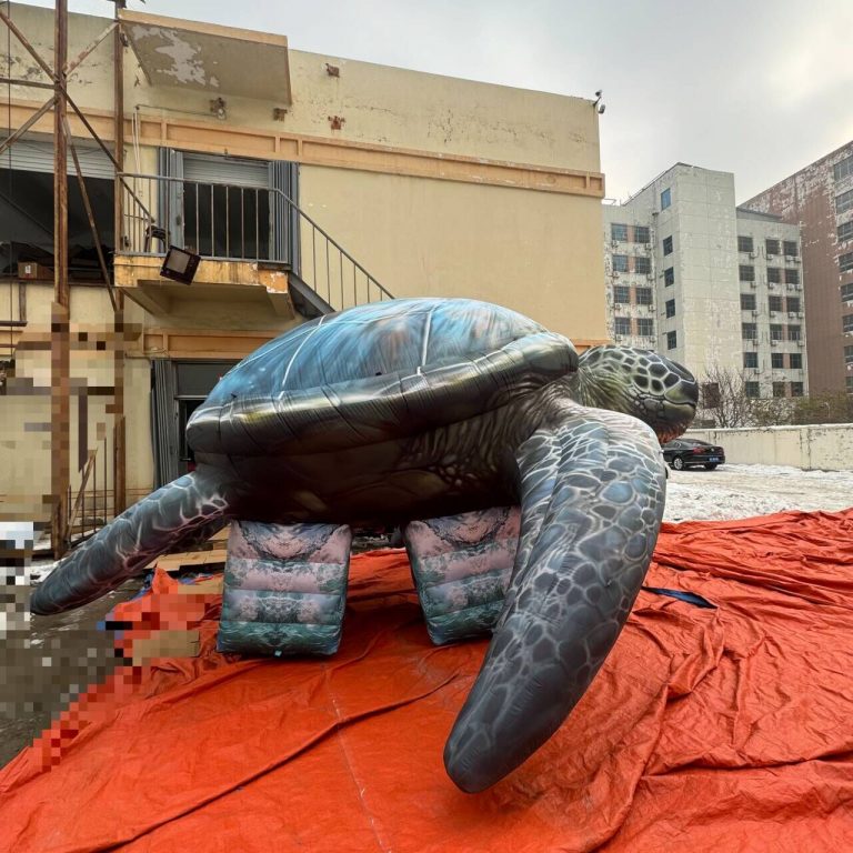 inflatable turtle (5)