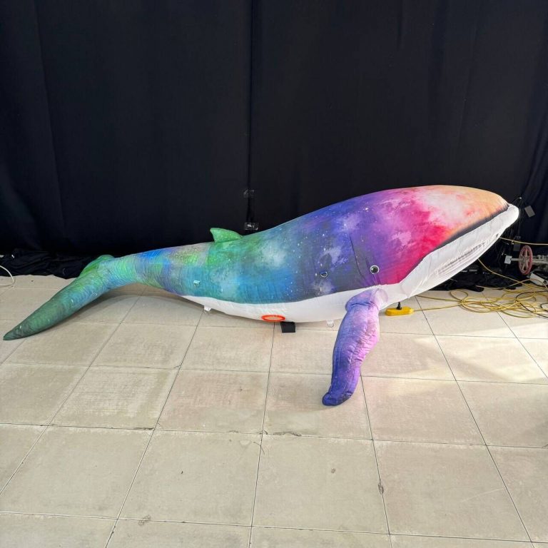 3m whale (3)