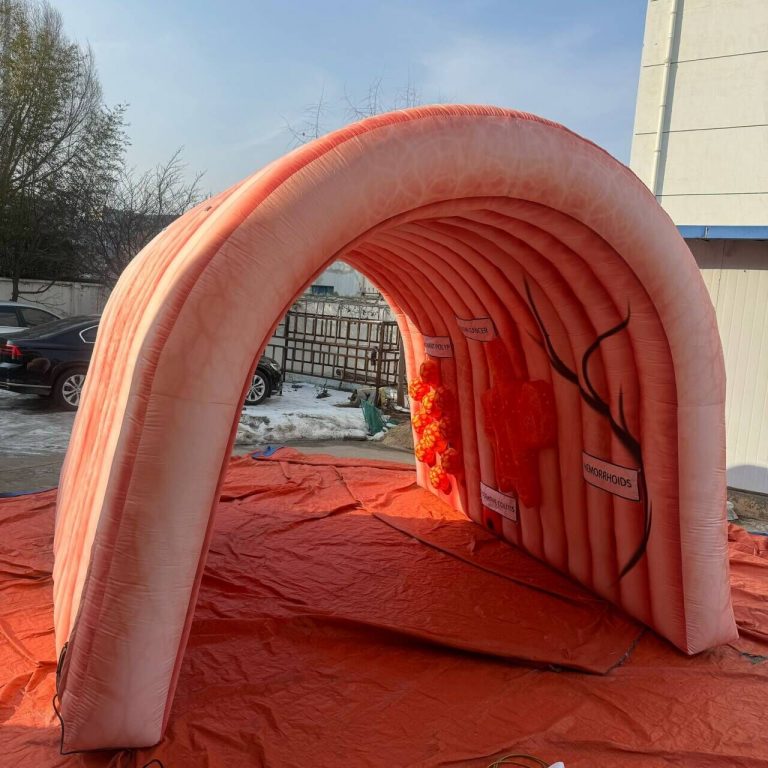 inflatable body replicas for sicense education exhibition inflatable colon