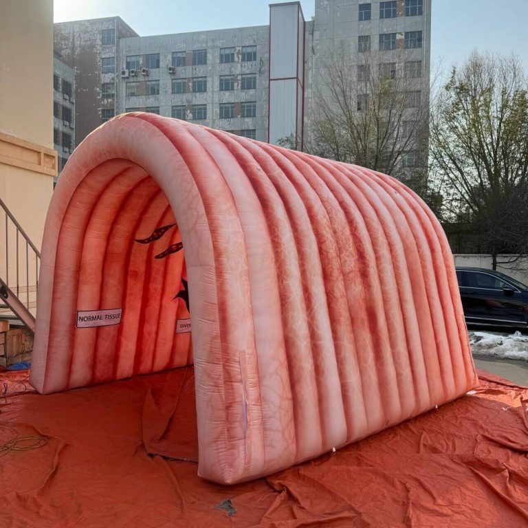 inflatable education inflatable tunnel inflatable colon entrance