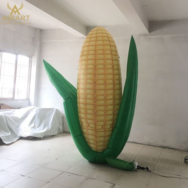 corn (3)