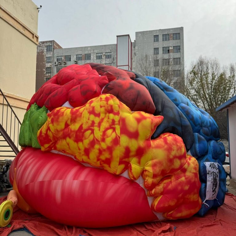 inflatable brain (2)