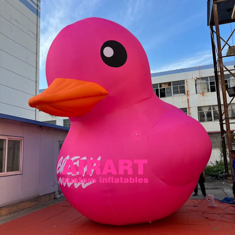inflatable duck (1)