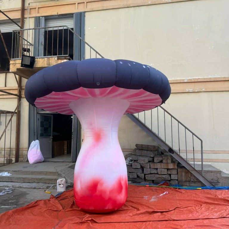 inflatable mushroom (1)