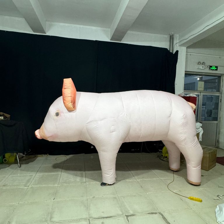 pig costume (1)