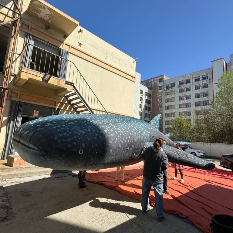 giant 10m inflatable whale (1)