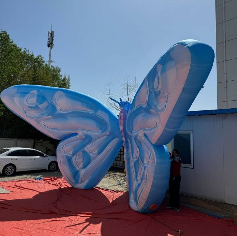 giant butterfly (1)