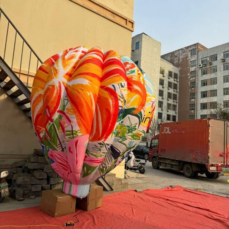 hot air balloon (4)