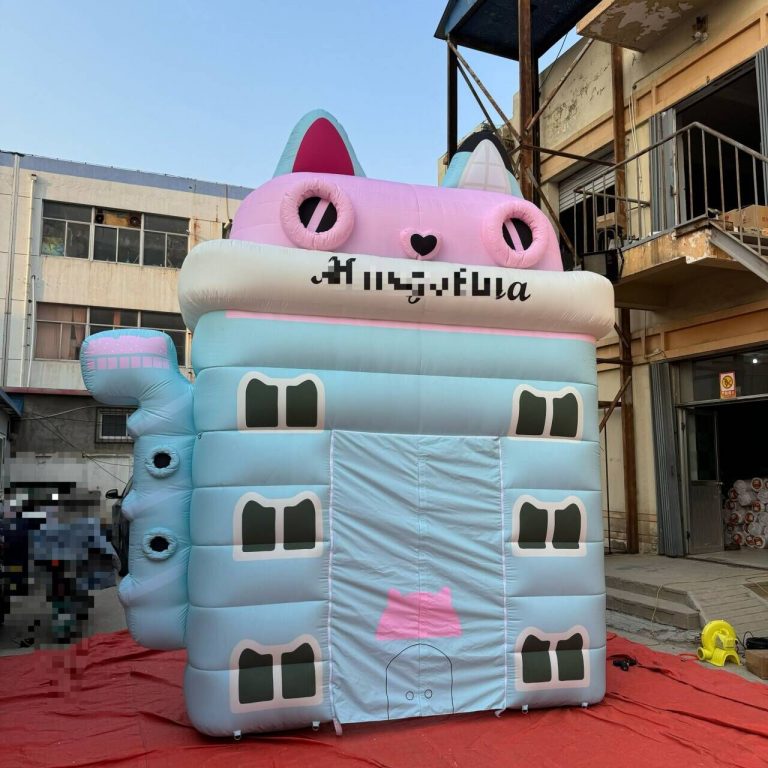 inflatable board (8)