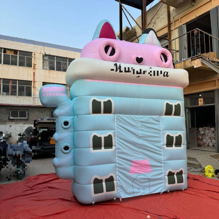 inflatable board (9)