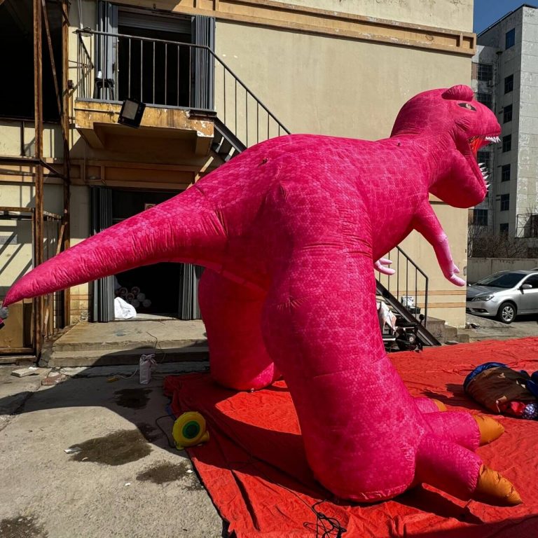 inflatable dinosaur (3)