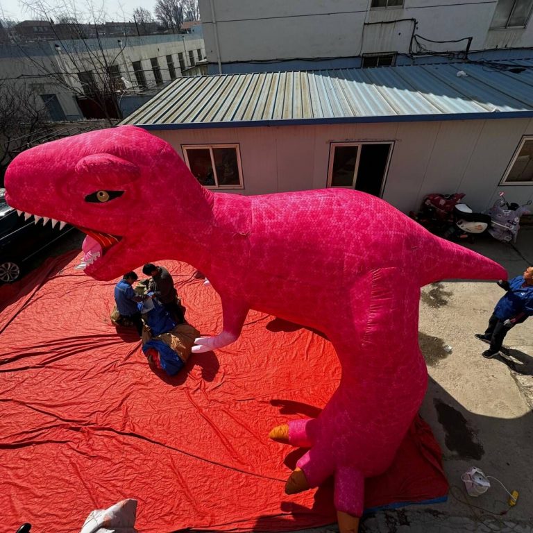 inflatable dinosaur (4)
